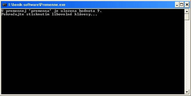 premenne.exe.png